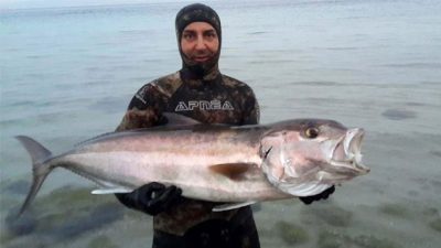 Tüpsüz Dalışta Boyu Büyüklüğünde Balık Avlıyor