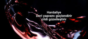 hardaliye-2