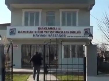 Trakya’nın En Donanımlı Hayvan Hastanesi Hizmete Açıldı