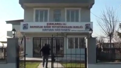 Trakya’nın En Donanımlı Hayvan Hastanesi Hizmete Açıldı