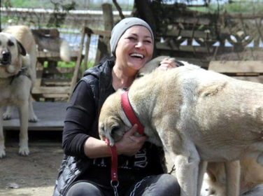 Öğretmenliği Bıraktı, Veterinerlik Eğitimi Aldı, Kurduğu Barınakta 400 Köpeğe Bakıyor